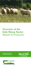 Overview of the Irish Sheep Sector Markets & Production