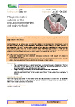 Phage-insensitive cultures for the production of fermented and probiotic foods – 5458