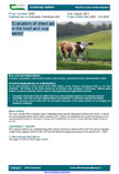 Evaluation of direct aid in the beef and veal sector – 6050