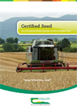 Certified Seed