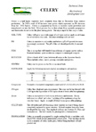 Celery Technical Note