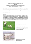 Internal Parasites: An Ongoing Problem on Sheep Farms