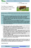 The Effect of Negative Energy Balance on Gene Expression in cattle – 5756