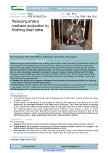 Reducing enteric methane production by finishing beef cattle – 5628