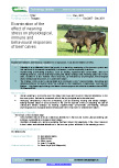 Examination of the effect of weaning stress on physiological, immune and behavioural responses of beef calves – 5742