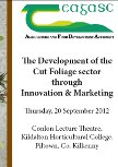 The Development of the Cut Foliage sector through Innovation & Marketing