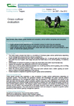 Grass cultivar evaluation – 5793