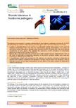 Biocide tolerance in foodborne pathogens – 5954