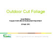 Outdoor Cut Foliage – Andy Whelton
