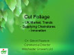 Cut Foliage – Dr. Simon Pearson