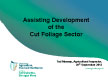 Assisting the Development of the Cut Foliage Sector – Ted Massey