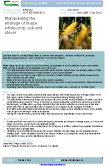 Manipulating the ensilage of maize whole-crop, cob and stover – 5769 (A)