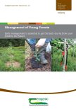 Management of Young Forests