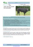 Late-maturing suckler bull production – 5919