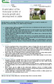 Examination of the molecular control of muscle growth and development in cattle – 5759