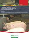 Towards January 2013 – Updates, implications and options for group housing pregnant sows