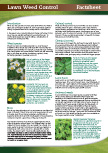 Lawn Weed Control