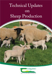 Technical Updates on Sheep production