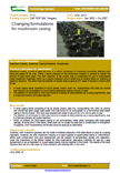 Changing formulations for mushroom casing – 5173