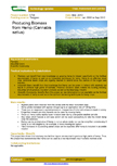 Producing Biomass from Hemp (Cannabis sativa) – 5788