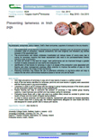 Preventing lameness in Irish pigs – 6026