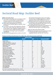 Sectoral Road Map: Suckler Beef