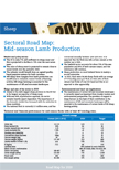 Sectoral Road Map: Mid-season Lamb Production