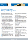Sectoral Road Map: Tillage and Energy Crops