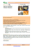 Natural Ingredient Cheese Solutions – 5938
