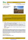 Yield formation in spring barley – 5998