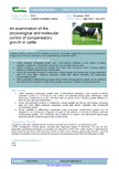 An examination of the physiological and molecular control of compensatory growth in cattle – 6019