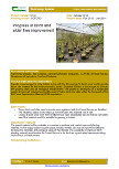 Progress in Birch and Alder tree improvement – 6274