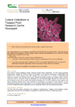 Culture Collections in Teagasc Food Research Centre Moorepark – 6042 and 6312