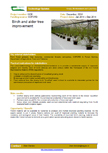 Birch and alder tree improvement – 6630