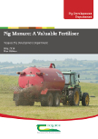 Pig Manure: A Valuable Fertiliser