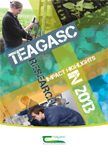 Research Impact Highlights in 2013