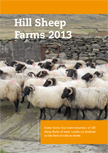 Hill Sheep Farms 2013