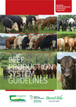 Beef Production System Guidelines