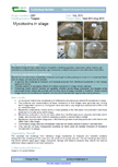 Mycotoxins in silage – 6087