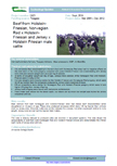 Beef from Holstein-Friesian, Norwegian Red x Holstein-Friesian and Jersey x Holstein Friesian male cattle – 5923