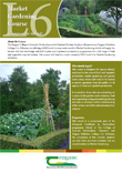 Market Gardening Course – QQI Level 6 (Component Award)