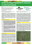 Understanding Phytophthora ramorum in Irish larch forests