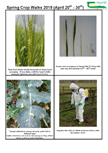 Teagasc Spring Crop Farm Walks