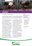 Finishing hill lambs – Sheep 2015