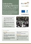 Understanding Trichoderma aggressivum in Bulk Phase 3 compost