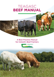 Teagasc Beef Manual
