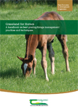 Grassland for Horses