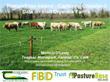 PastureBase Ireland – Capturing Grassland Data on Irish Drystock Farms