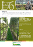 Nursery Stock Production – QQI Level 6 (Component Award)