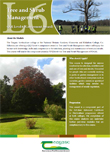 Tree and Shrub Management – QQI Level 6 (Component Award)